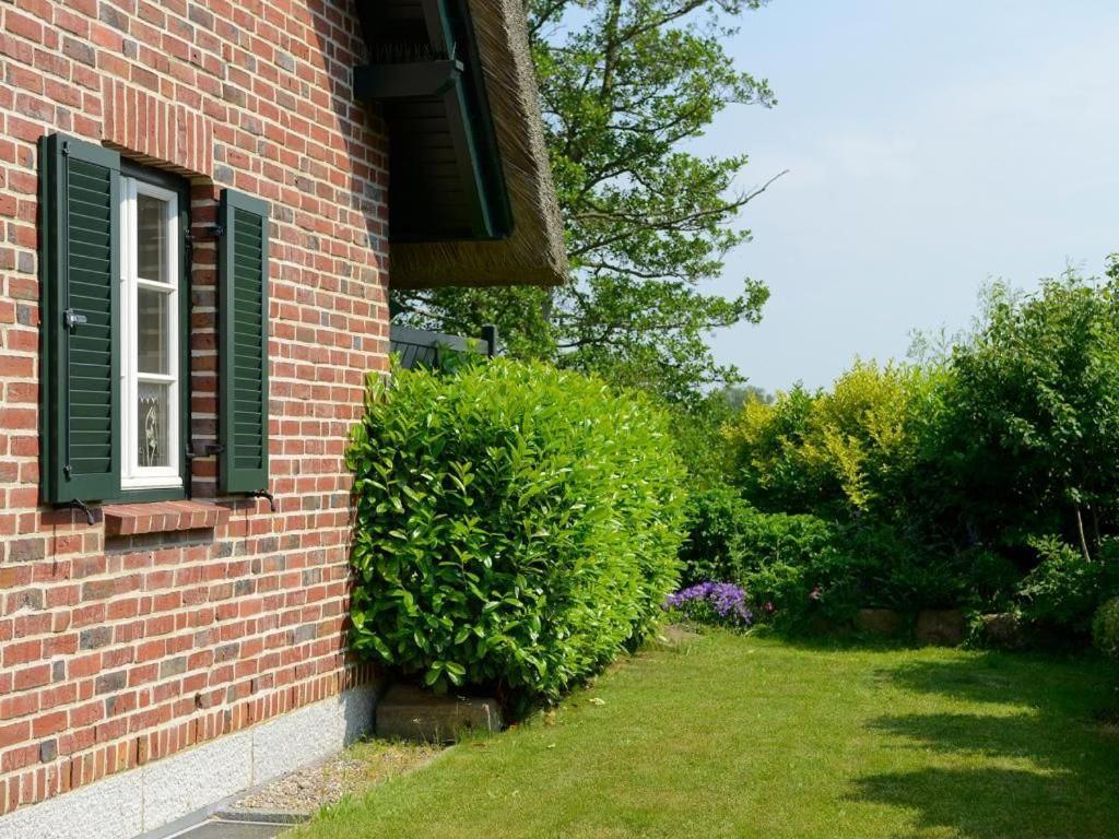 Wildrose Ferienhaus Ostseebad Boltenhagen Exterior foto